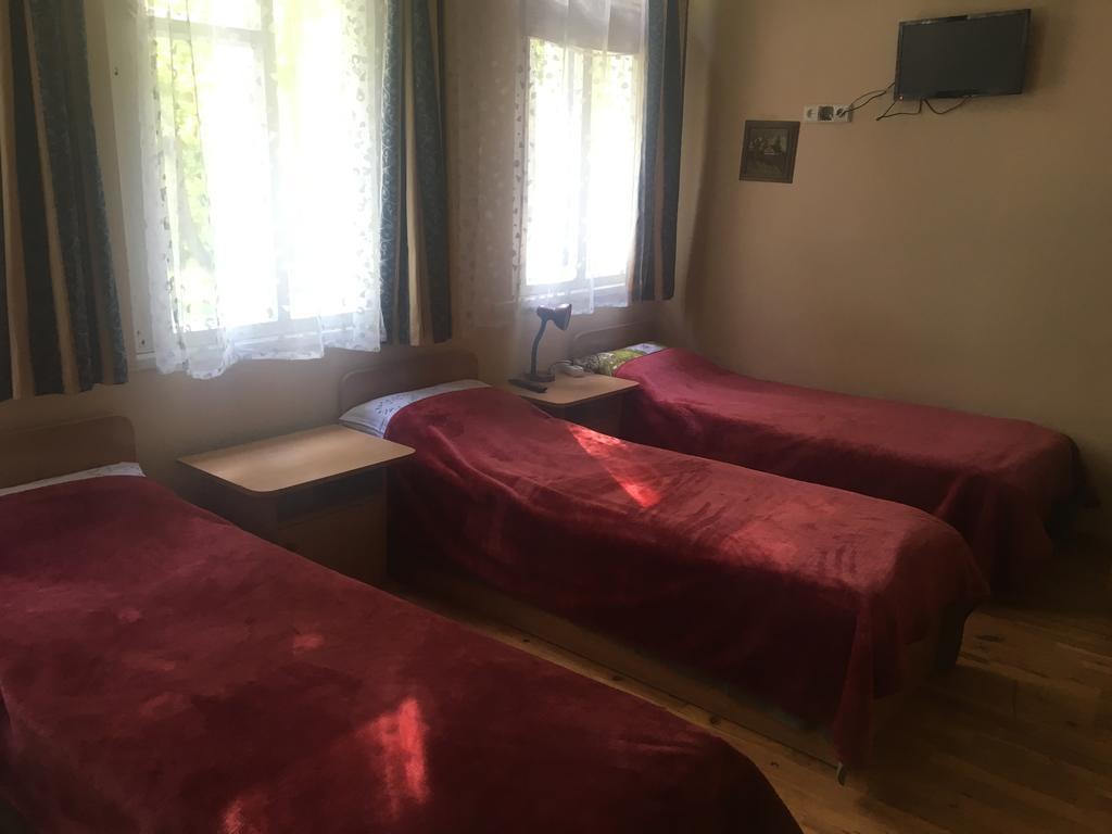 Parko Vila Друскининкай Екстериор снимка